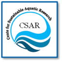 CSAR logo Eng